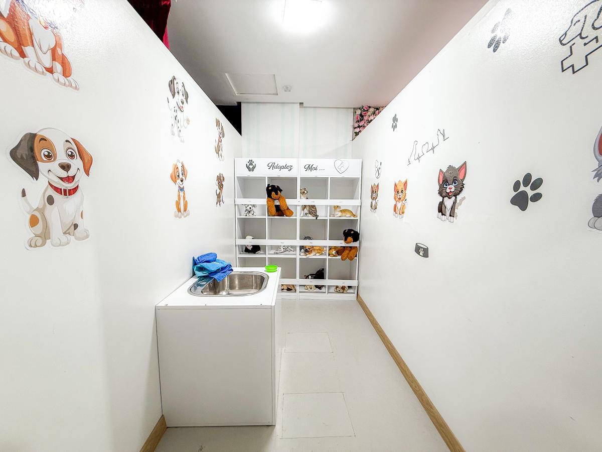 Toilettage Animaux